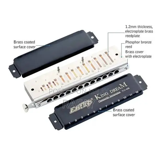 Professional Chromatic Harmonica with Rich Tones and Portable Design