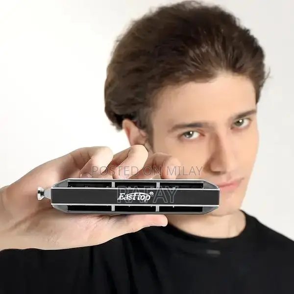 Professional Chromatic Harmonica with Rich Tones and Portable Design