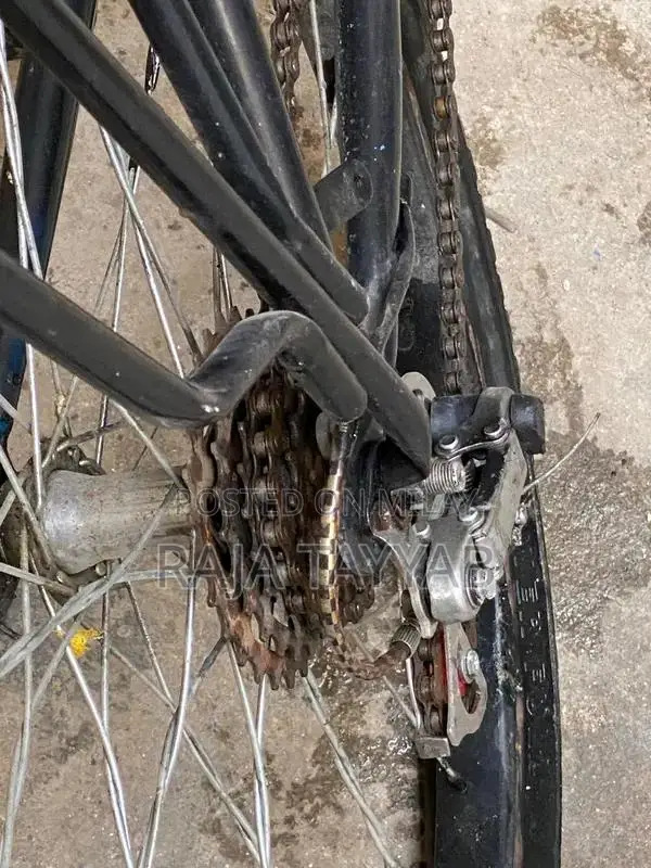 Gear Cycle - Multi-Speed Bicycle in Excellent Condition