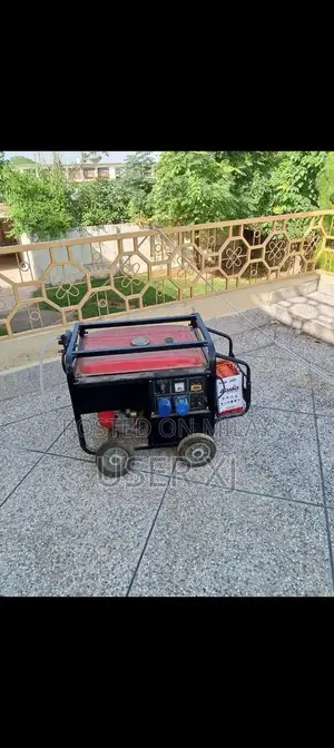 Versatile Portable Generator - Petrol and Gas Compatible