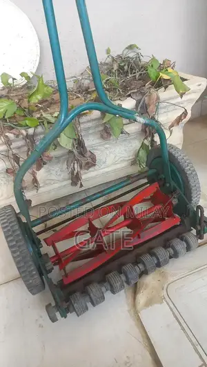 Professional Grass Cutting Machine for Lawn Maintenance