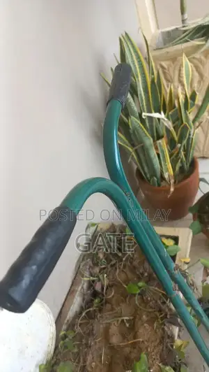 Professional Grass Cutting Machine for Lawn Maintenance