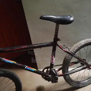 Photo - Versatile Multi-Purpose Ball Carrier Bag