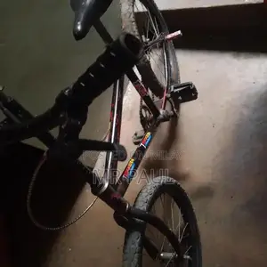 Versatile Multi-Purpose Ball Carrier Bag