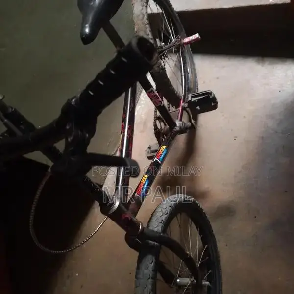 Versatile Multi-Purpose Ball Carrier Bag