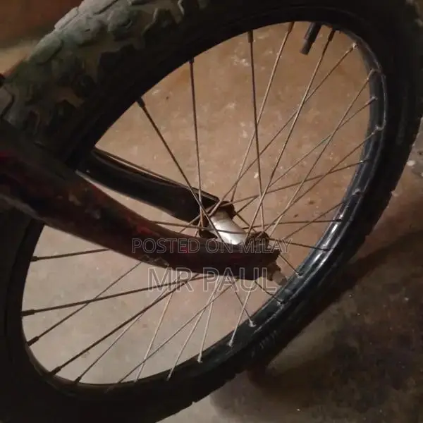 Versatile Multi-Purpose Ball Carrier Bag