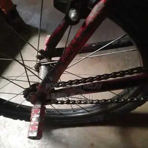 Versatile Multi-Purpose Ball Carrier Bag