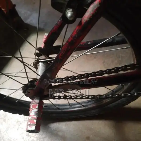 Versatile Multi-Purpose Ball Carrier Bag