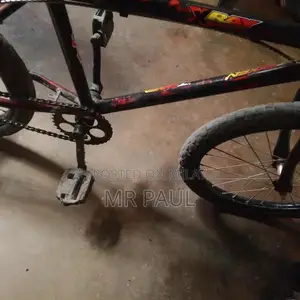 Versatile Multi-Purpose Ball Carrier Bag