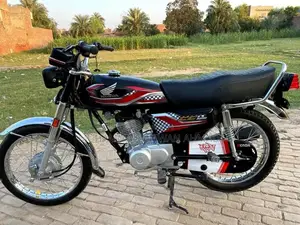 Genve Bike in Good Condition