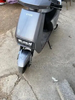 Evee Electric Bike - Low Mileage Urban Commuter