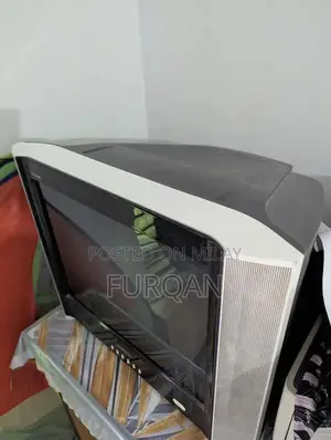 Nobel 21-inch Flat Screen Television with Remote