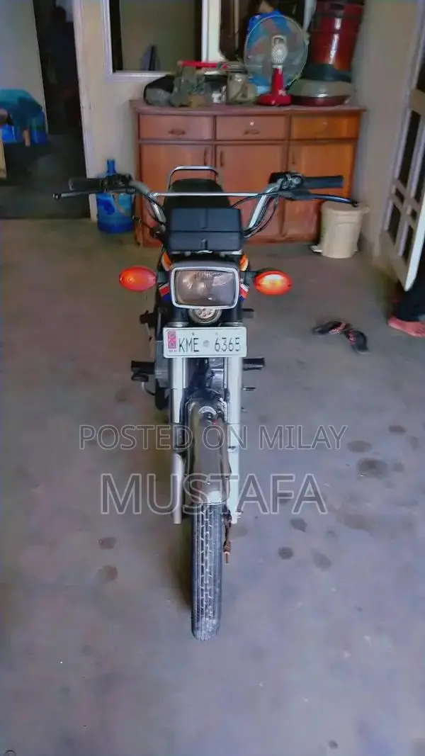 2019 Motorcycle or Automobile Vehicle with V Engine