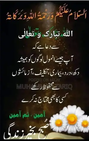 Redmi Mobile Device with Compact Design