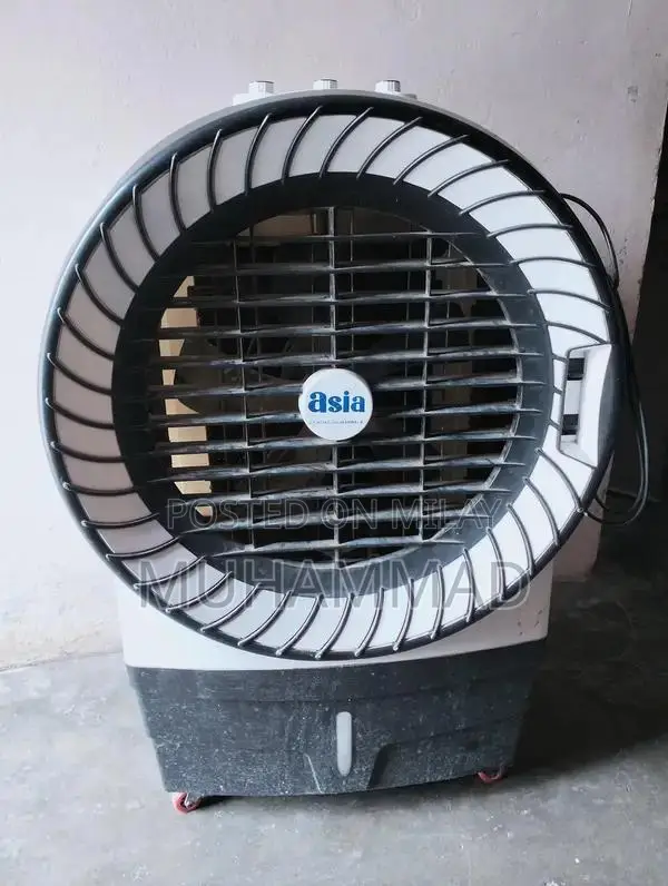 Asia Electric Cooler with Humidification Features