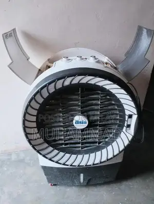 Asia Electric Cooler with Humidification Features