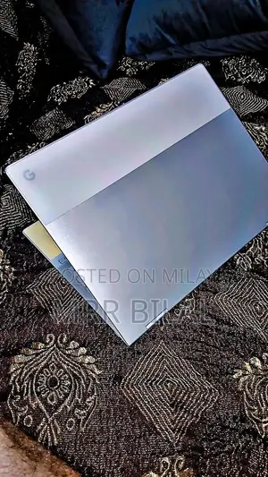 Google Pixel Chromebook - High Performance Laptop