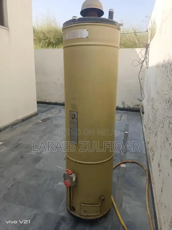 Singer Water Geyser with Easy-to-Use Gas Mode