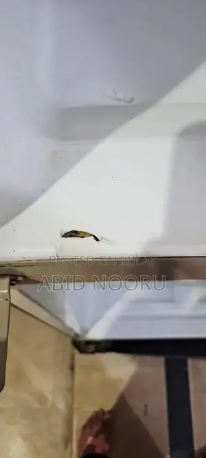 Haier HRF-300 Non-Inverter Refrigerator with Compressor Issue