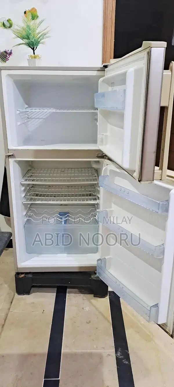 Haier HRF-300 Non-Inverter Refrigerator with Compressor Issue