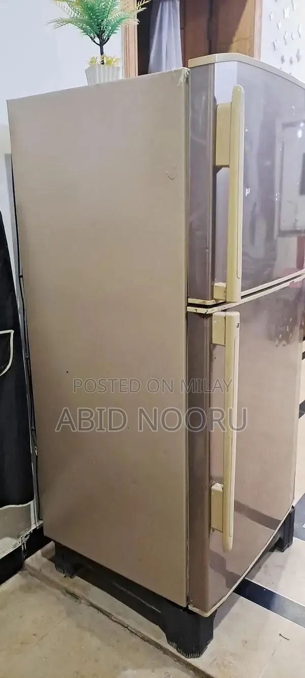 Haier HRF-300 Non-Inverter Refrigerator with Compressor Issue