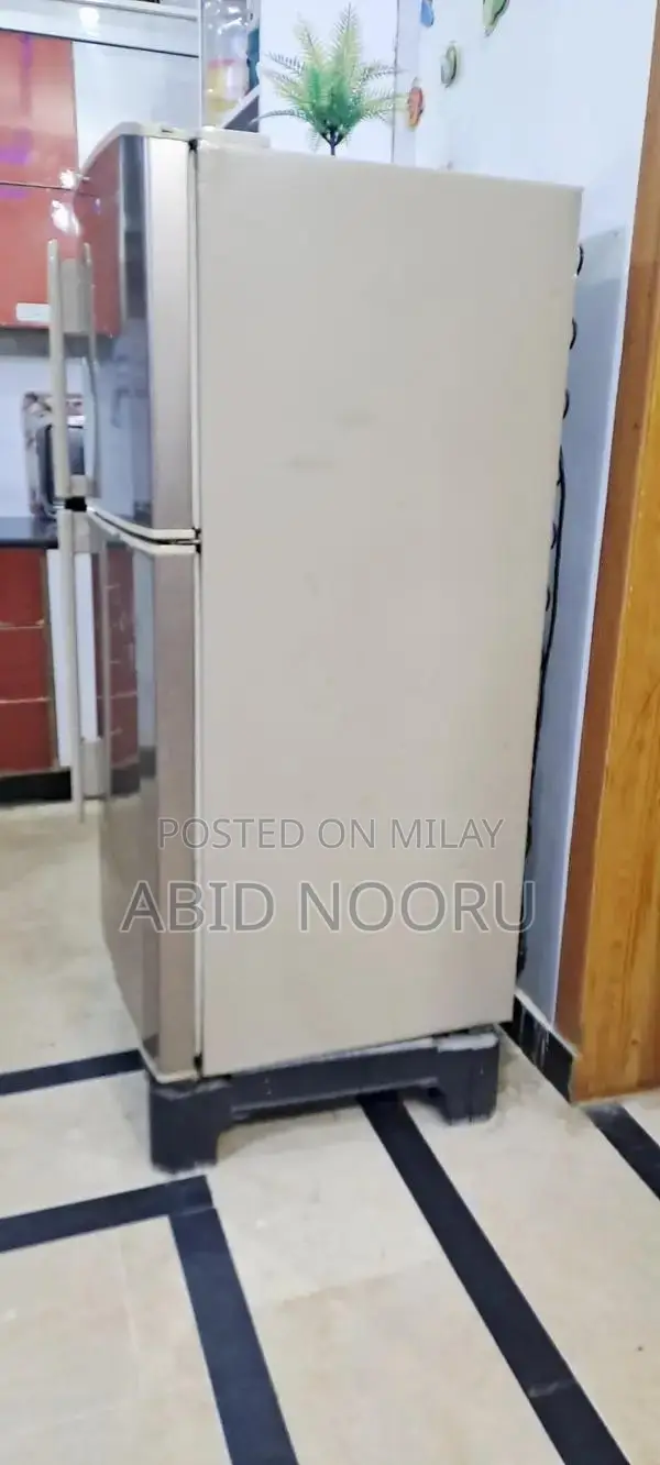 Haier HRF-300 Non-Inverter Refrigerator with Compressor Issue