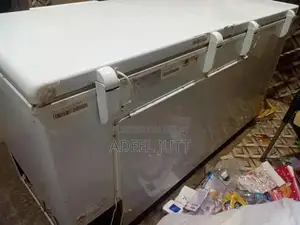 Photo - Large Two-Door Hair Freezer Appliance