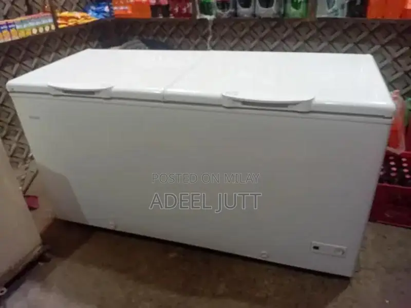 Large Two-Door Hair Freezer Appliance