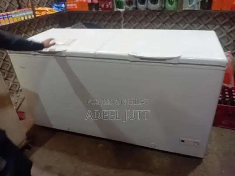 Large Two-Door Hair Freezer Appliance