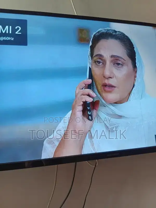 Used LED Projector with Color Issue - Functional