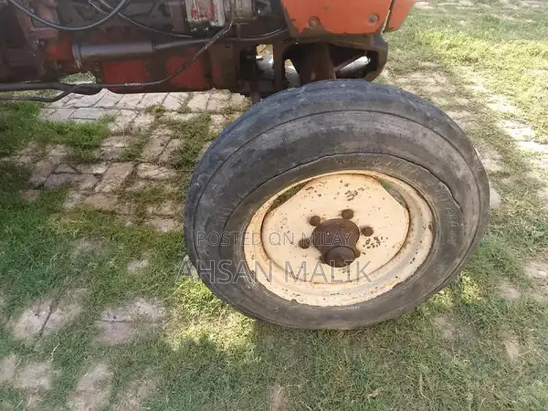 Traditional Punjabi 81 Model Kalaji Choli - Ethnic Wear