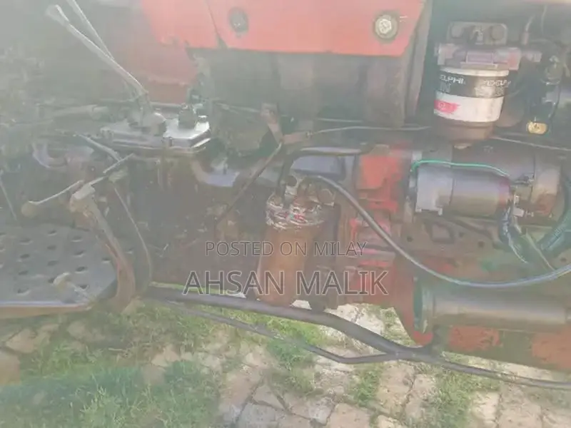 Traditional Punjabi 81 Model Kalaji Choli - Ethnic Wear