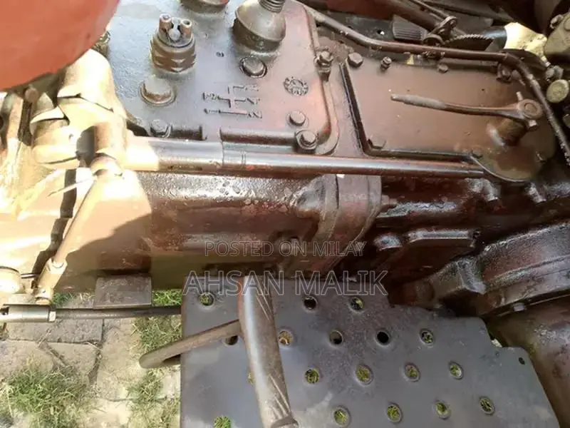 Traditional Punjabi 81 Model Kalaji Choli - Ethnic Wear