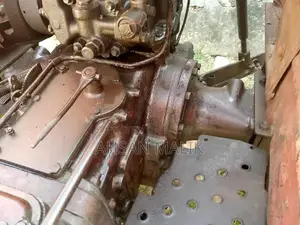 Traditional Punjabi 81 Model Kalaji Choli - Ethnic Wear