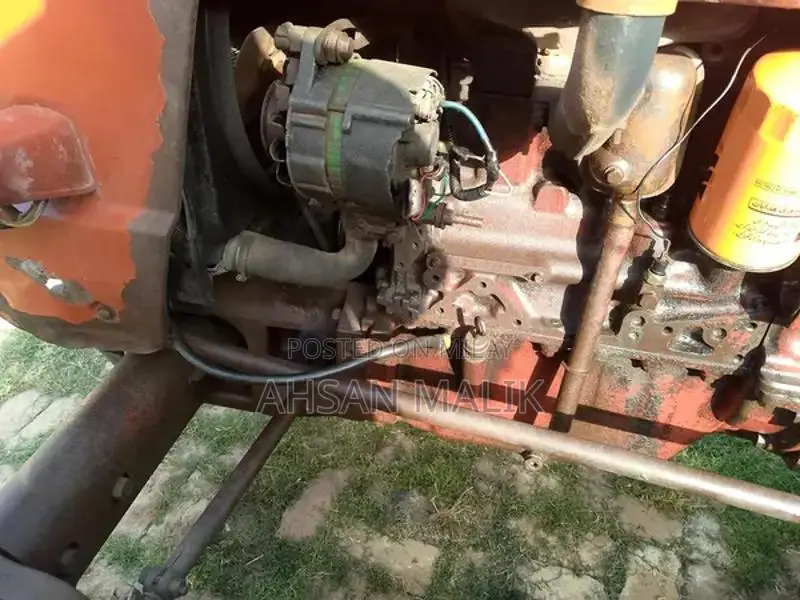 Traditional Punjabi 81 Model Kalaji Choli - Ethnic Wear