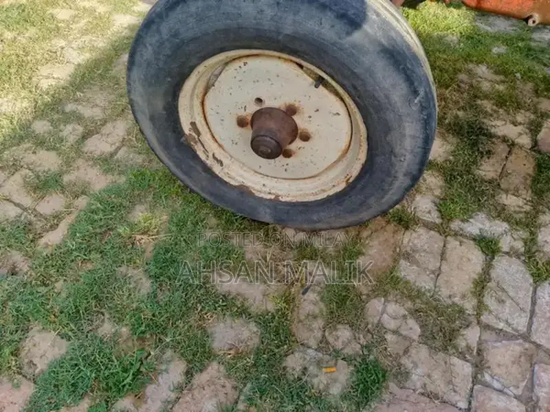 Traditional Punjabi 81 Model Kalaji Choli - Ethnic Wear