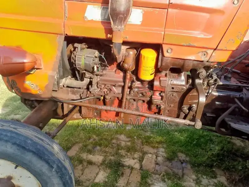 Traditional Punjabi 81 Model Kalaji Choli - Ethnic Wear