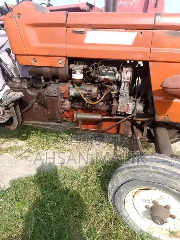 Traditional Punjabi 81 Model Kalaji Choli - Ethnic Wear