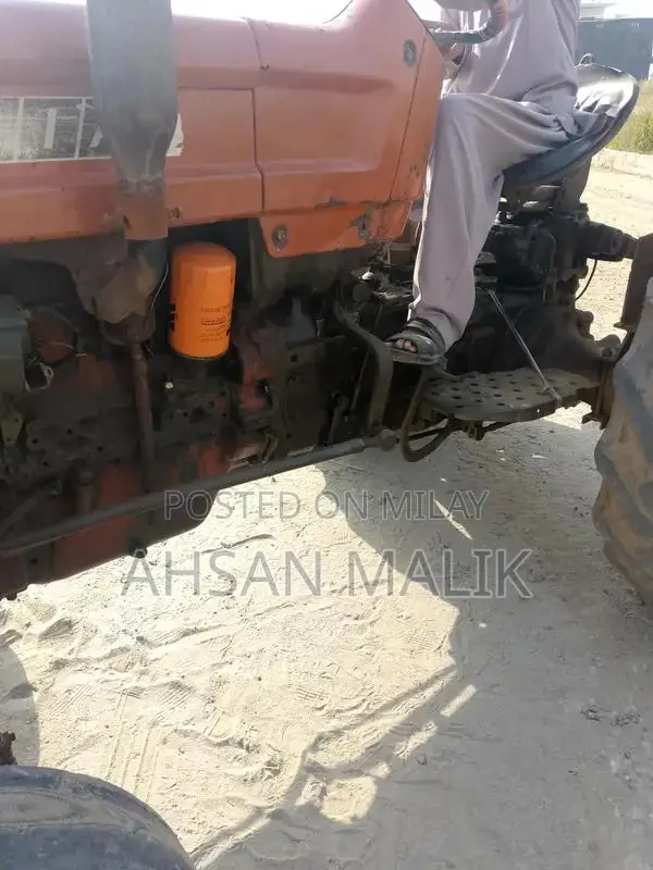 Traditional Punjabi 81 Model Kalaji Choli - Ethnic Wear