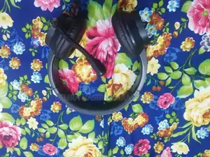 High-Quality Headphones - Clear Sound, Excellent Condition