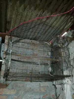 Chicken Coop Wire Cage Enclosure - 3x3 Ft Poultry Housing