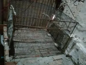 Chicken Coop Wire Cage Enclosure - 3x3 Ft Poultry Housing