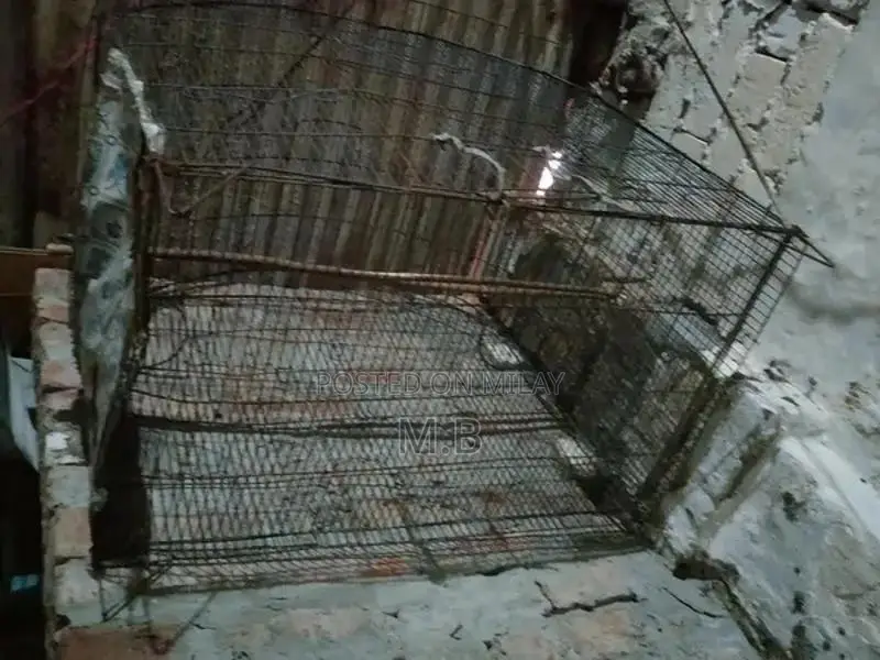 Chicken Coop Wire Cage Enclosure - 3x3 Ft Poultry Housing