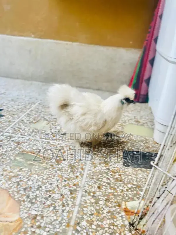 Premium White Silk Bedding Pair - Luxurious Soft Bedroom Linens