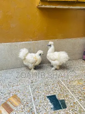 Premium White Silk Bedding Pair - Luxurious Soft Bedroom Linens