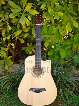 Rock Acoustic Guitar AS 08T Full-Size Musical Instrument