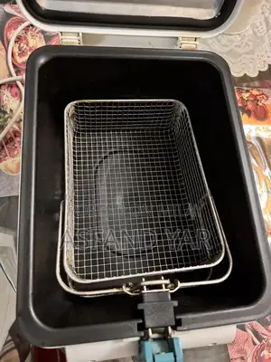 Premium Stainless Steel Electric Deep Fryer for Home and Commercial Us