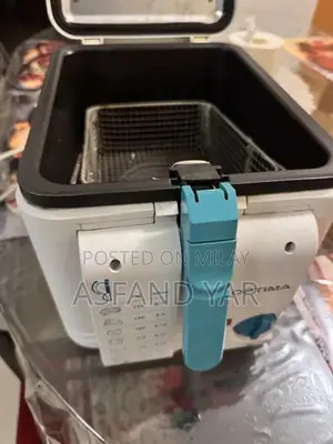 Premium Stainless Steel Electric Deep Fryer for Home and Commercial Us