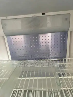 Photo - Hitachi Double Door Refrigerator - Energy Efficient Model