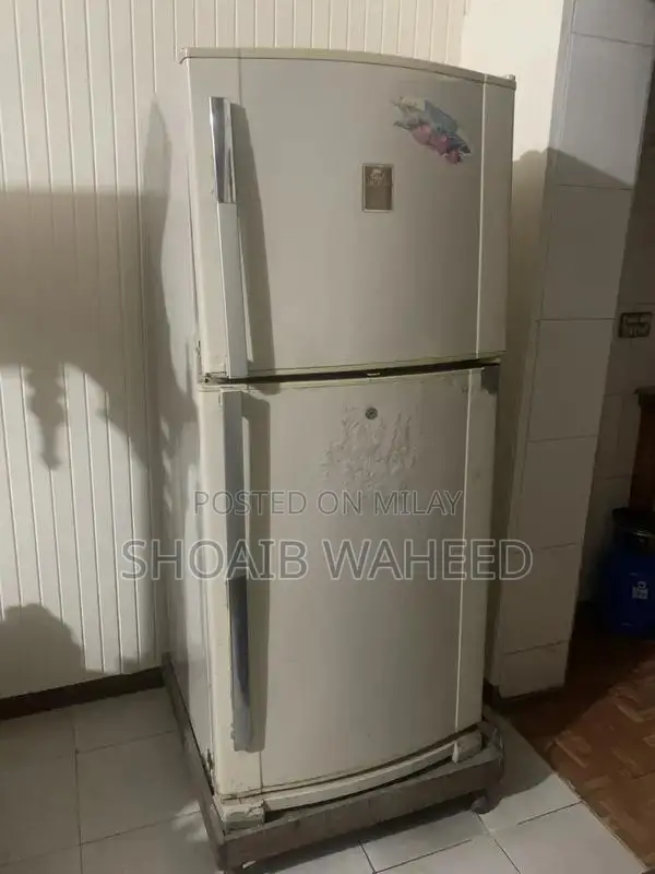 Home Refrigerator - Efficient Cooling for Everyday Use